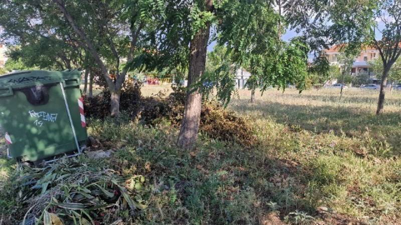 Σχεδόν 320.000 οι δηλώσεις καθαρισμών των οικοπέδων - Περισσότεροι από 312 δήμοι έχουν χρησιμοποιήσει την πλατφόρμα