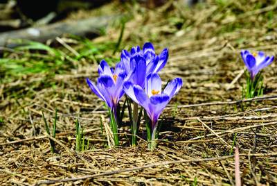 Ποιοτικός τουρισμός ή αρπαχτές και επιδοτήσεις;