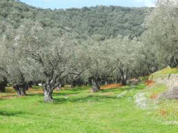 Μια συνέντευξη με αλήθειες για τη γεωργία