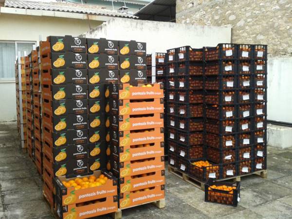 Διανεμήθηκαν φρούτα σε Τριφύλιους πολύτεκνους