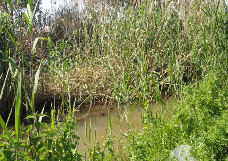 Μεσσηνία: Έκπτωση 79% για τον καθαρισμό της Λιγδούς