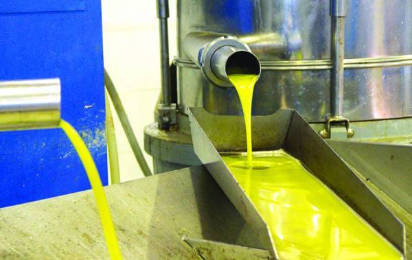 Από 3,05 έως 3,20 ευρώ το κιλό η τιμή του λαδιού