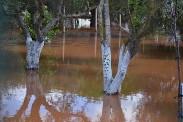 Απευθείας αναθέσεις για την αντιμετώπιση των ζημιών στην Τριφυλία