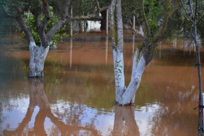 Απευθείας αναθέσεις για την αντιμετώπιση των ζημιών στην Τριφυλία