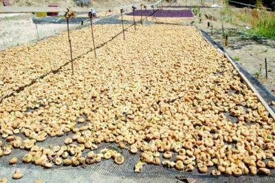 Οικονομική ισορροπία σε τεντωμένο σκοινί