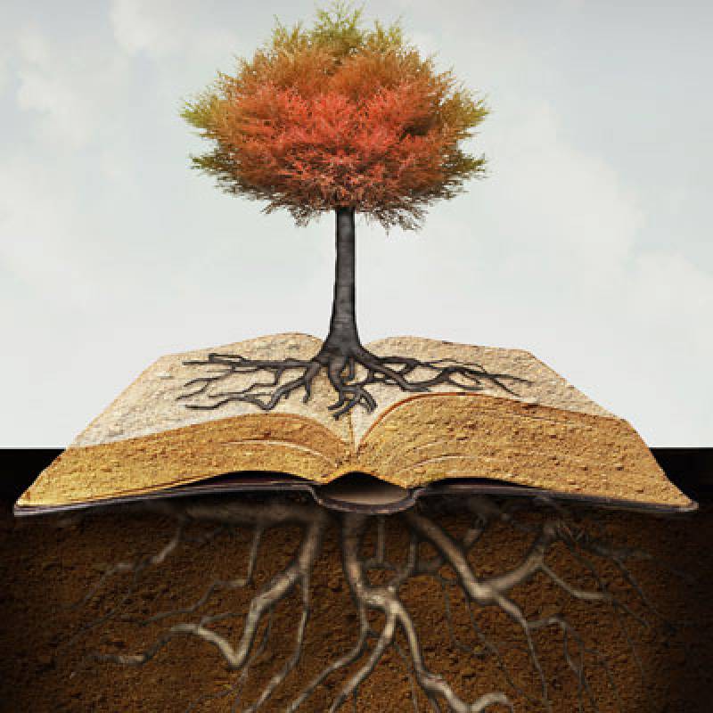 Η αναγωγή στο εφικτό και η απομάκρυνση από το ποιητικό