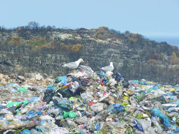 Από 2 χρόνια για την πυρκαγιά στον ΧΑΔΑ Πύλου: Η φωτιά "έκαψε" Τατούλη - Καφαντάρη