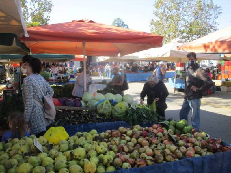 Δημοτικό Συμβούλιο Καλαμάτας: Οι απόψεις για την επιρροή του νομοσχεδίου στη λαϊκή αγορά
