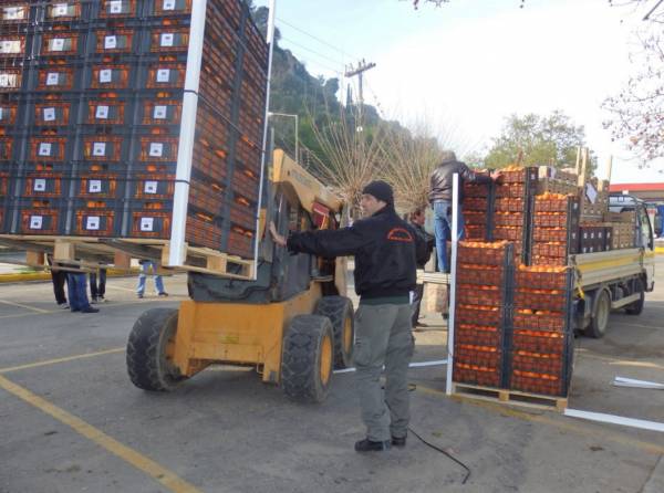 Μανταρίνια και ακτινίδια σε μαθητές της Καλαμάτας