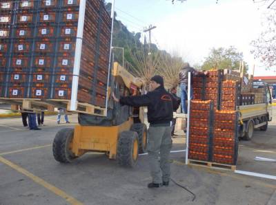 Μανταρίνια και ακτινίδια σε μαθητές της Καλαμάτας