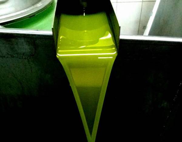 Από 3,50 έως 3,60 ευρώ το κιλό το ελαιόλαδο στη Μεσσηνία