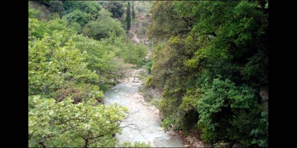 Το Σάββατο η 24η πεζοπορική διαδρομή στη Νέδα