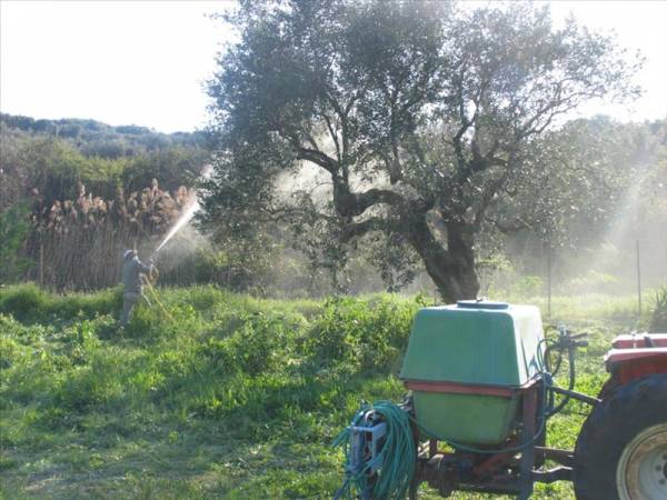 Αποζημιώσεις από  τα πλεονάσματα