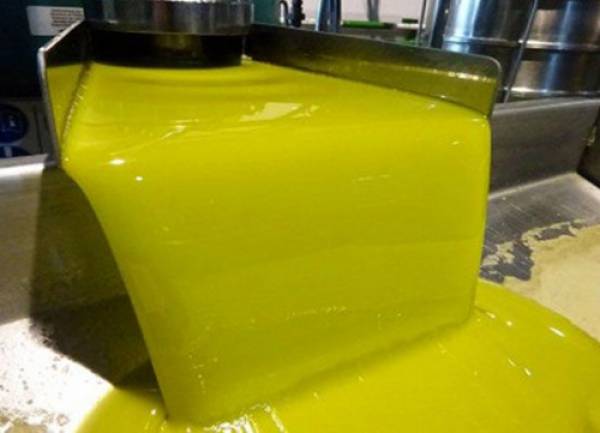 Στα 3,47 η τιμή ελαιολάδου στην Ιταλία