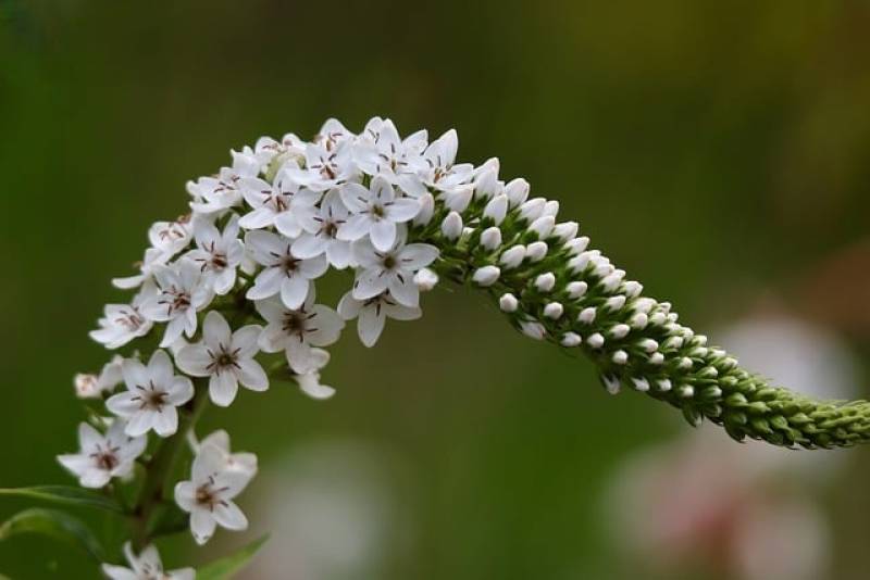 Τι λένε τα ζώδια σήμερα (20/9)