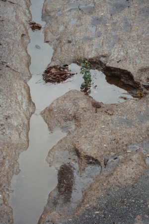 Οι πληγές του Νέδοντα