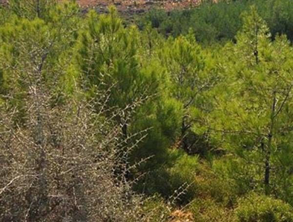 Οι Μανιάτες στο ΣΥΡΙΖΑ για τους δασικούς χάρτες