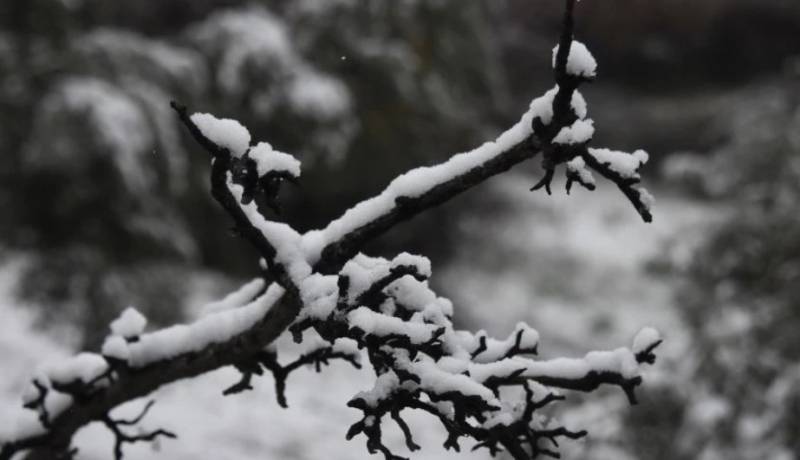 Καιρός: Έως -6,3 βαθμούς Κελσίου το θερμόμετρο σήμερα το πρωί στη Βόρεια Ελλάδα