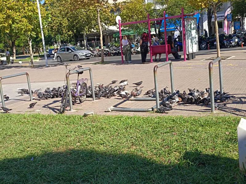 Απαραίτητη η συντήρηση...