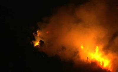 Γρεβενά: Υπό έλεγχο η φωτιά στη Δεσκάτη