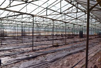 Λαϊκή Συσπείρωση Τριφυλίας: Φταίνε μόνο τα καιρικά φαινόμενα για τις πλημμύρες;