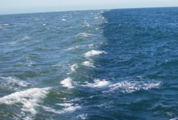 Βγήκαν από το νερό γιατί … μαύρισε η θάλασσα 