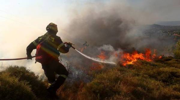 Φωτιά σε δασική έκταση στην Χάλκη Νεμέας