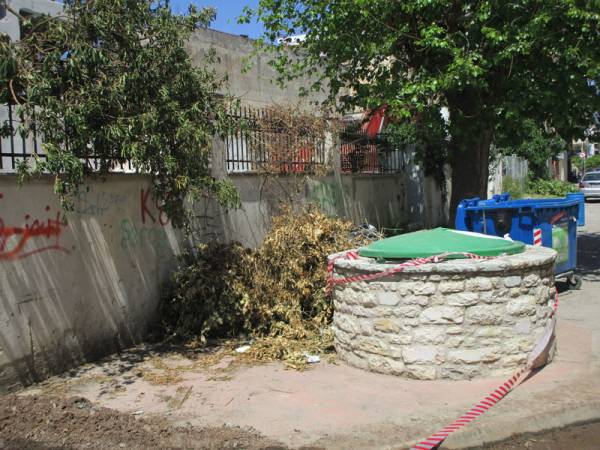 Κλαριά έξω από τον κάδο