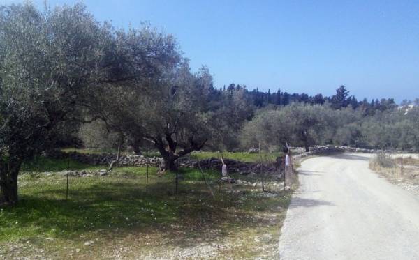 Να σταματήσουμε να λειτουργούμε  στο... περίπου