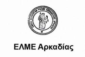 Νέο συμβούλιο της ΕΛΜΕ Αρκαδίας