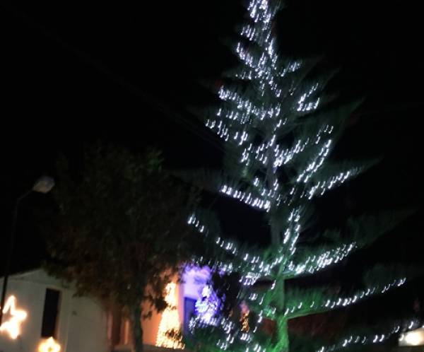 Φωταγώγηση δέντρου στα Λέικα