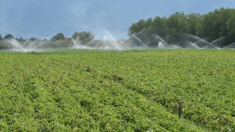 Παράταση έως 29 Σεπτεμβρίου για την πληρωμή της ειδικής ασφαλιστικής εισφοράς στον ΕΛΓΑ