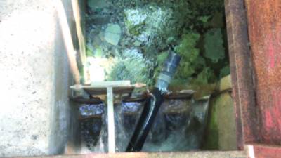 Κατσίβελας: Μόνο πλατανόφυλλα στη δεξαμενή ύδρευσης της Κυπαρισσίας