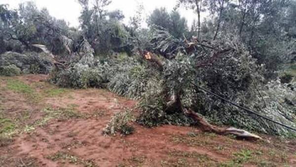 Ανεμοστροβιλος στην περιοχή της Τραγάνας κοντά στην Costa Navarino