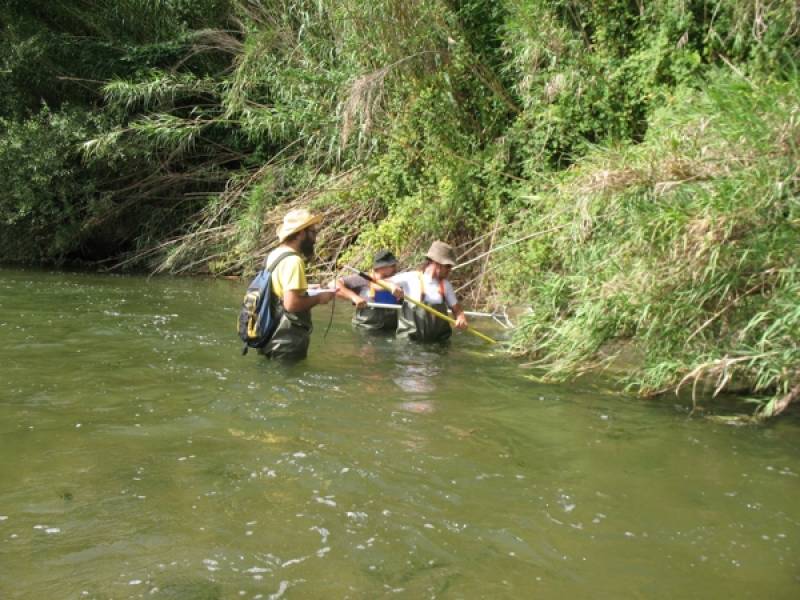 Σύμφωνα με το ΕΛΚΕΘΕ: Η ρύπανση από τα ελαιοτριβεία αποτελεί πληγή για τα ποτάμια