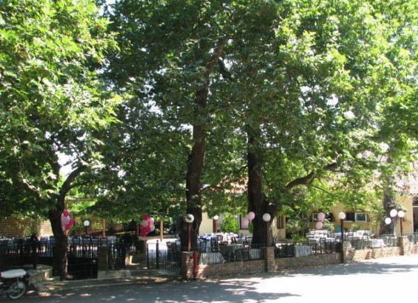 Διαγωνισμός για το Τουριστικό Αετού στην Τριφυλία