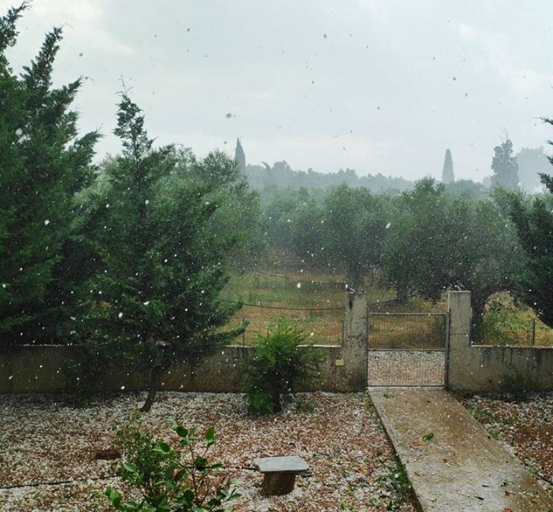 Αναγγελία για ζημιά από το χαλάζι σε περιοχές Καλαμάτας και Μεσσήνης