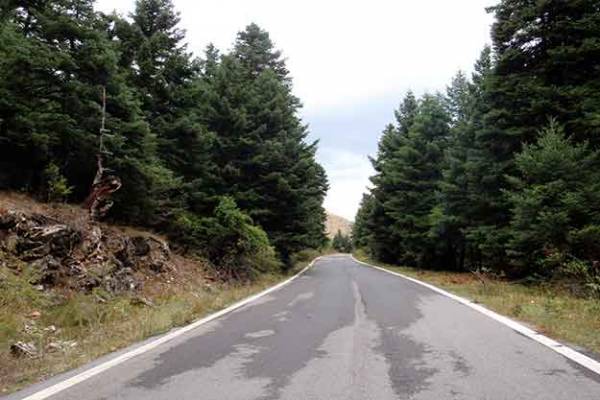 Αγωνιστική Πρωτοβουλία Λεβιδίου: &quot;Ξανά σκουπίδια στο Μαίναλο&quot;