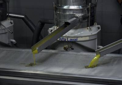 Χαμηλές τιμές, υψηλά εργατικά και γλοιοσπόριο