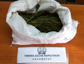 Σύλληψη 54χρονου για 740 γραμ. χασίς και δύο χασισόνδενδρα στην Καλαμάτα