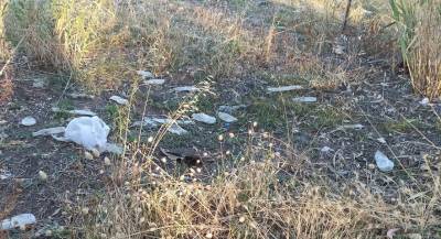 Πληγώνοντας τον Πάμισο