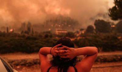 Φωτιές στη Βόρεια Εύβοια: Δεύτερη απόφαση για επιχορήγηση σε πυρόπληκτες επιχειρήσεις και αγρότες