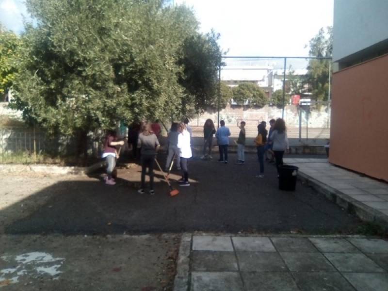 Ράβδισαν την ελιά του σχολείου τους στο 13ο Δημοτικό Καλαμάτας