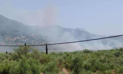 6 στρέμματα έκαψε φωτιά στην Ασπροπουλιά