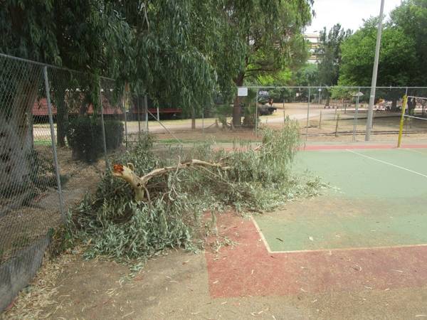 Επικίνδυνα κλαδιά