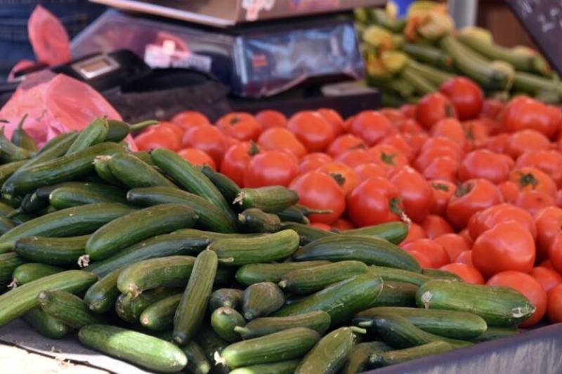 Οδηγός για αναδιάρθρωση καλλιεργειών στη Μεσσηνία: Αυξήθηκε η παραγωγή σε ντομάτα και αγγούρια