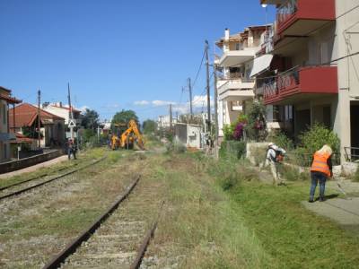 Κόπηκαν τα χορτάρια