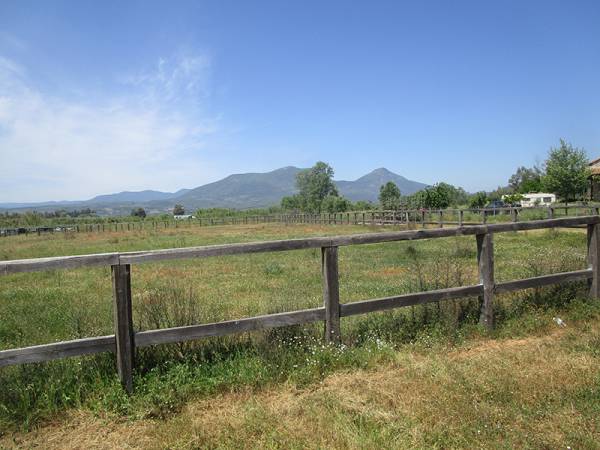 Μεσσηνία: Εγκαταλελειμμένο το Ιππικό Κέντρο στο Πλατύ