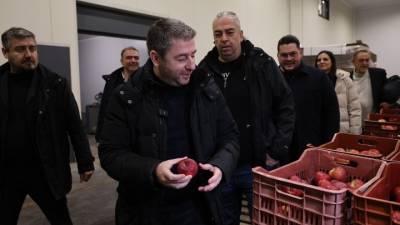 Ανδρουλάκης: Το ΠΑΣΟΚ θα καταψηφίσει τη συμφωνία Mercosur