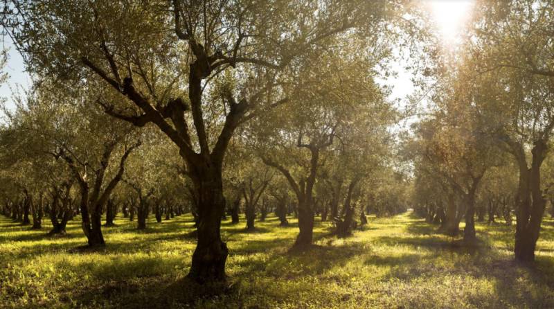 Η Costa Navarino σε πρόγραμμα για πυρκαγιές